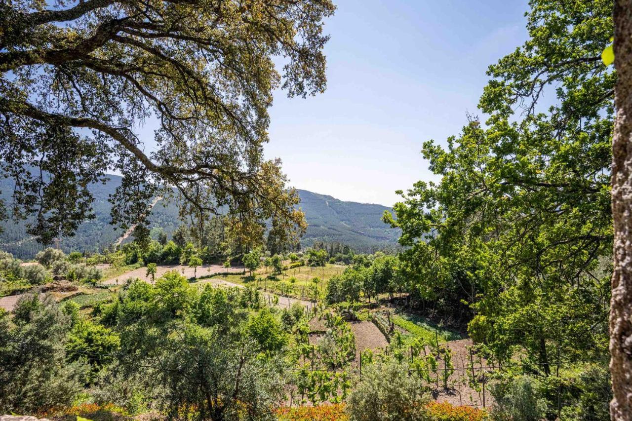 Quinta Da Baldieira Mondim de Basto Buitenkant foto