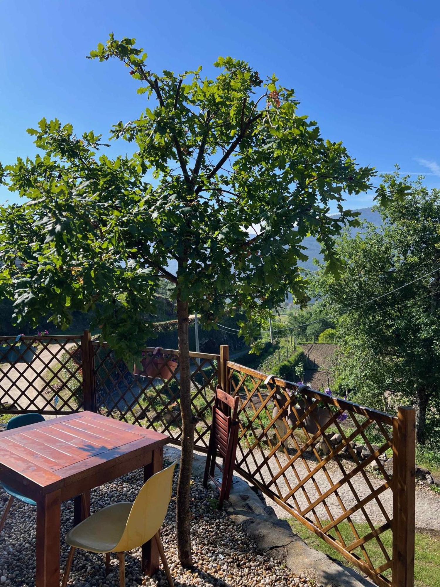 Quinta Da Baldieira Mondim de Basto Buitenkant foto