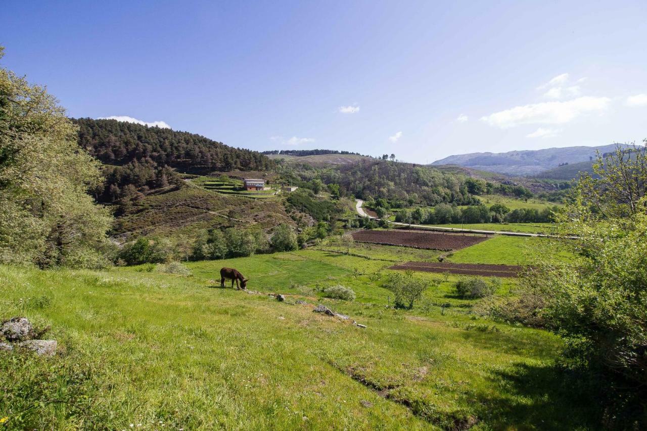 Quinta Da Baldieira Mondim de Basto Buitenkant foto